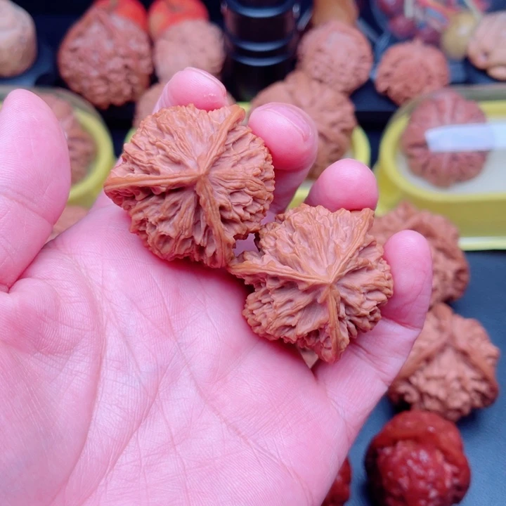 痴***欧文玩核桃把件蟠龙纹狮子头38×37×37