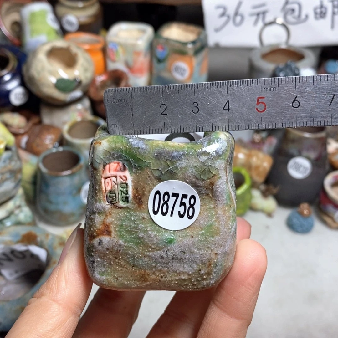 花盆拍3送一个小礼物