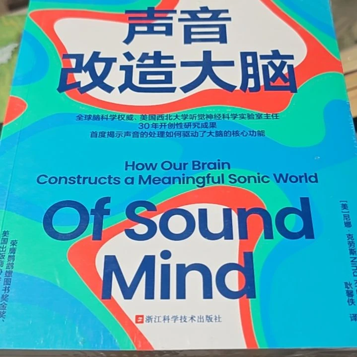 声音改造大脑平装库存书