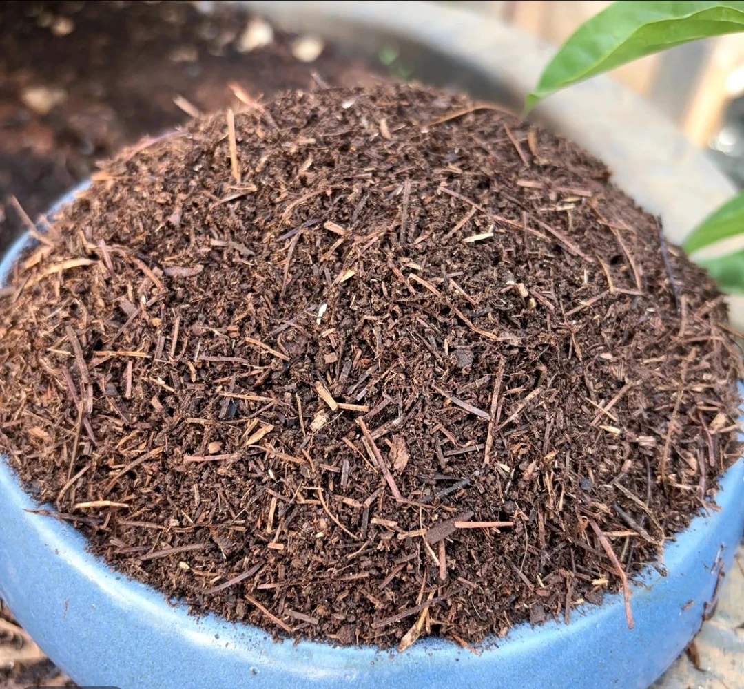 云南高山松针腐叶土15L 天然绿色 疏松透气花卉蔬果通用