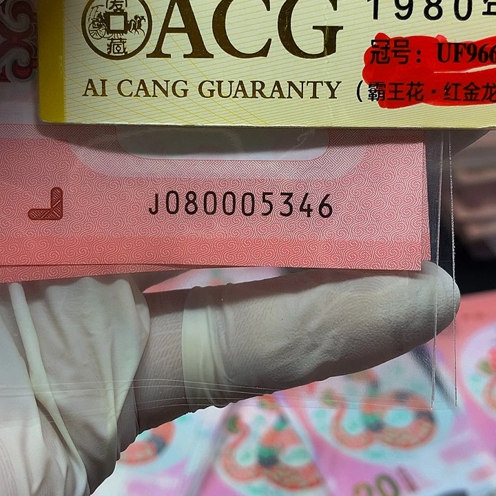 一张一张一张一张一张一张