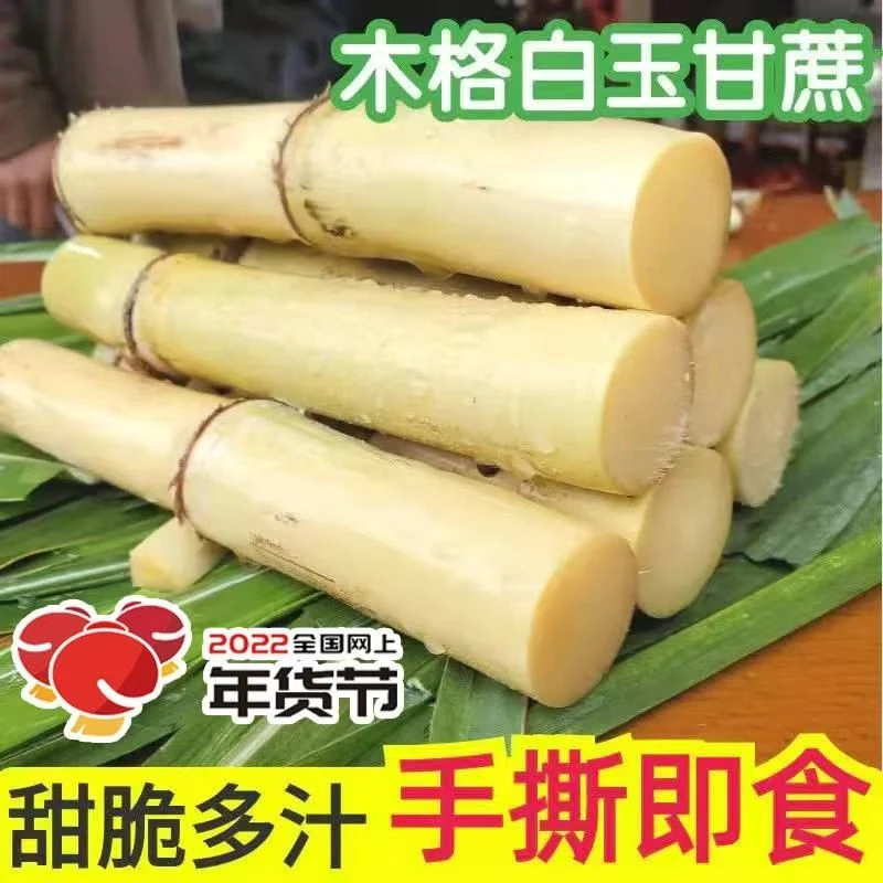 广西木格白玉甘蔗清甜多汁可炖汤煮水的应季水果甘蔗