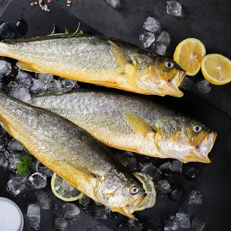 【中农湾】三去大黄鱼450g+/条*3条