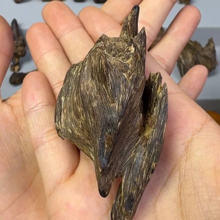 伟业香堂东马沉水12.3克