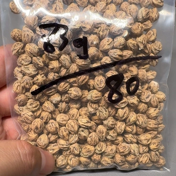 柏香籽/百香籽吊坠安*