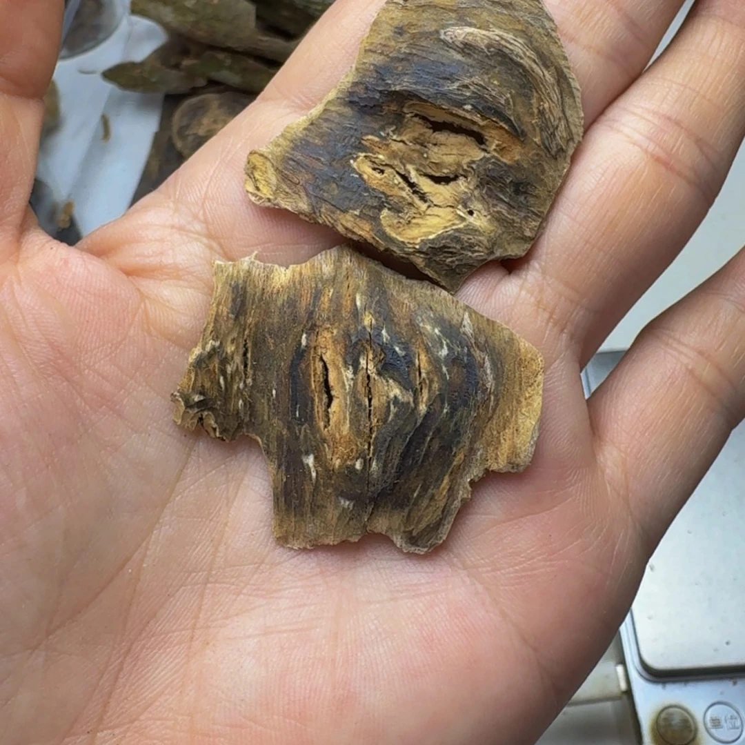 星***炎沉香碎屑沉香虎斑棋1.8克