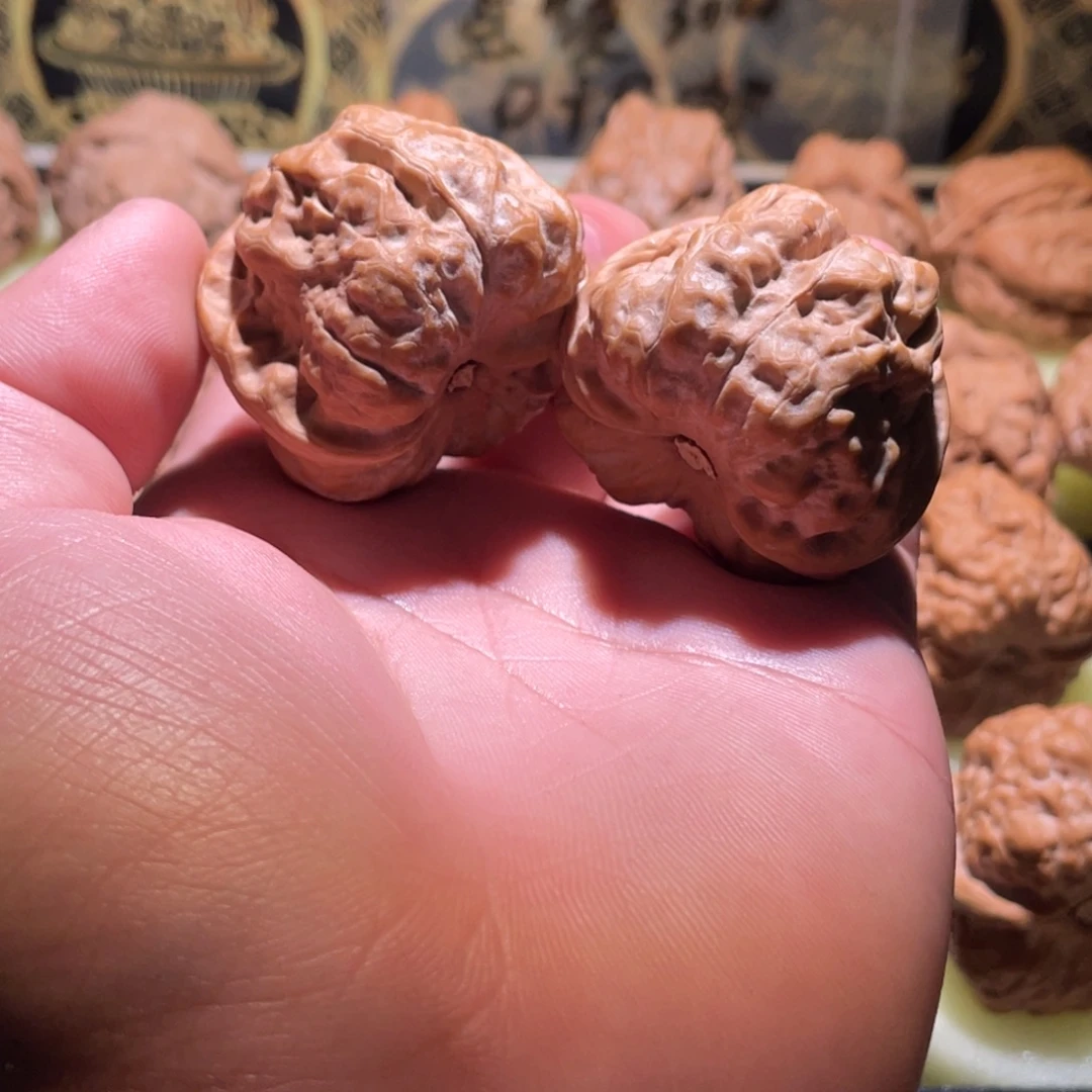 浊***£蛤蟆延庆一代蛤蟆头