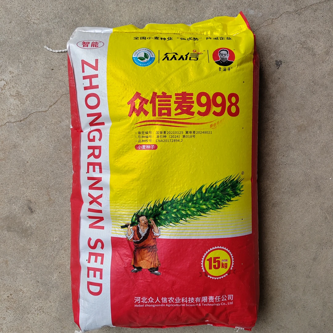 众信麦998双国审矮杆高产抗倒小麦种子