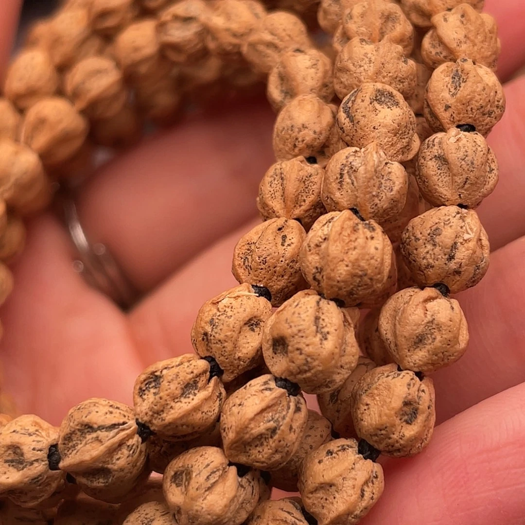 柏香籽/百香籽手串