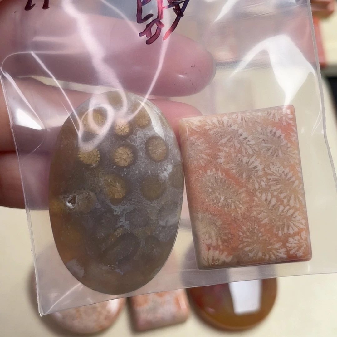【闪购商品】未镶嵌吊坠(赠链)硅化玉稻*