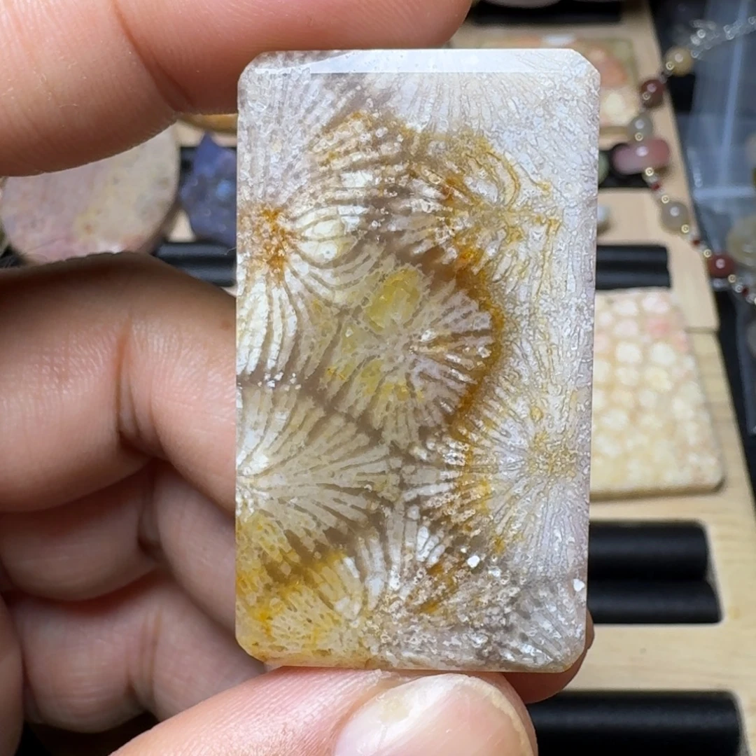 未镶嵌纯天然色有机玉石保真色硅化玉