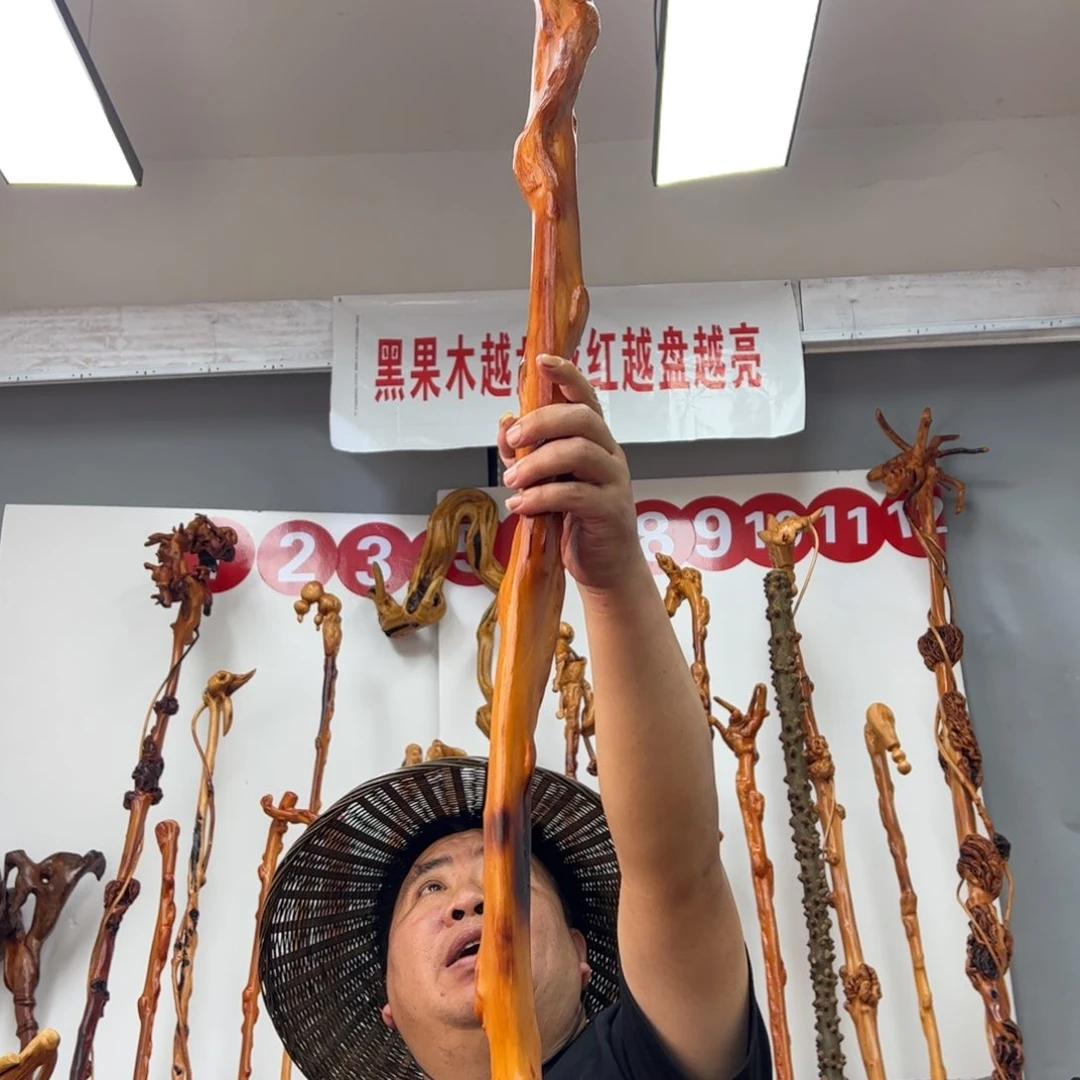 黑果木其他美*王黑果木034