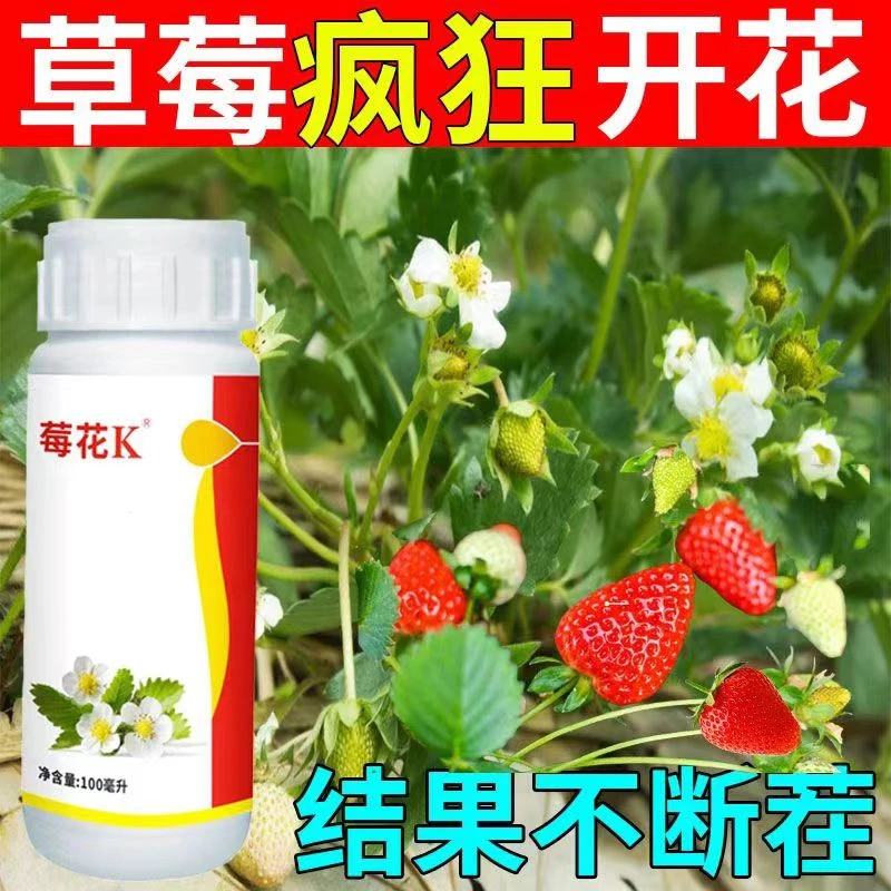 花芽分化剂促进开花保花保果增产叶面肥