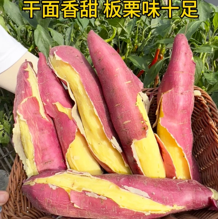 2粗粮【板栗地瓜】陕西临潼板栗红薯板栗地瓜 无丝 粉面香甜包邮