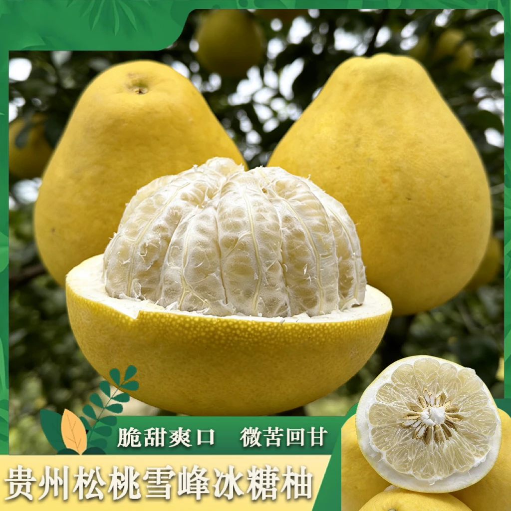 贵州高山当季新鲜老树白心雪峰柚子水果