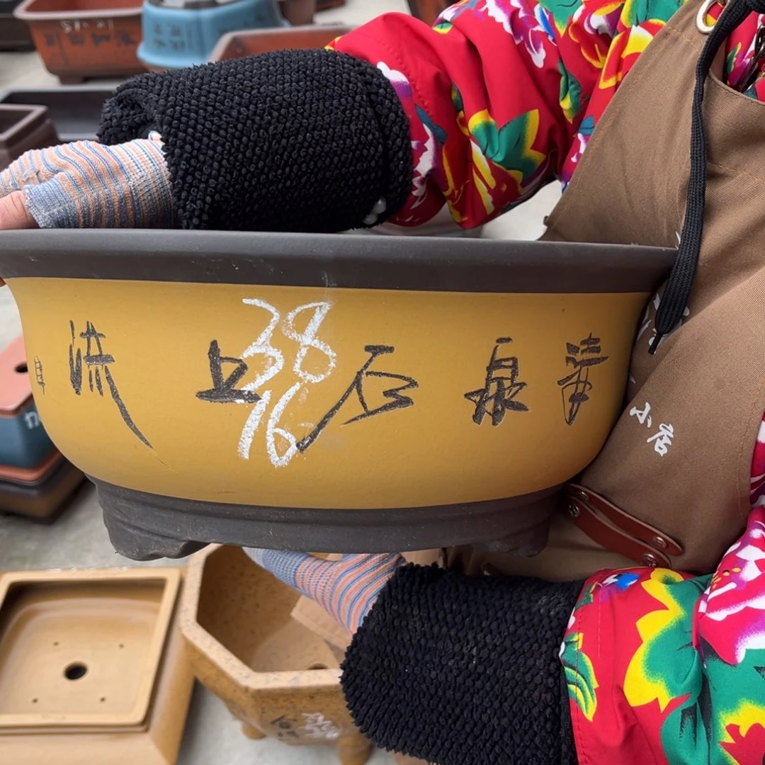紫砂花盆盆景和盆景
