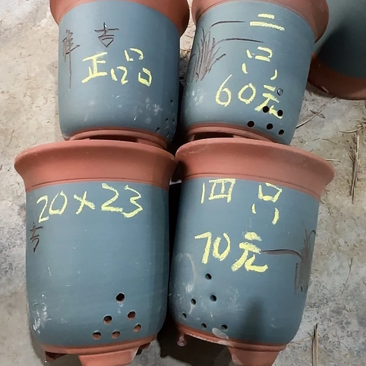 20×23四只福利京中盆