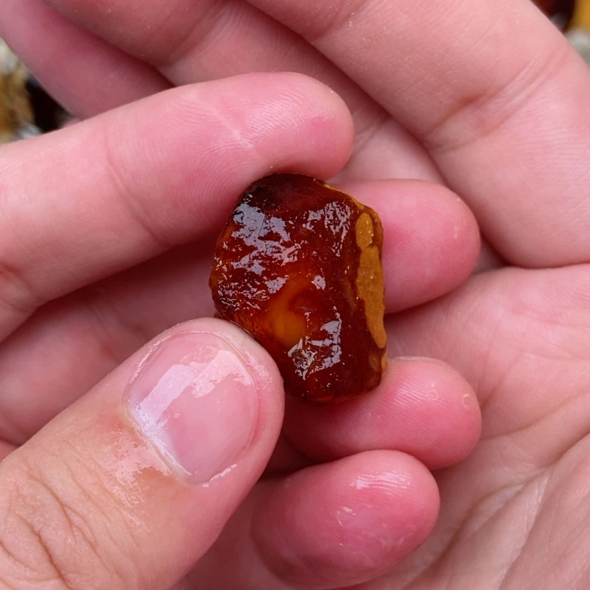 【闪购商品】定制琥珀未镶嵌蜜蜡