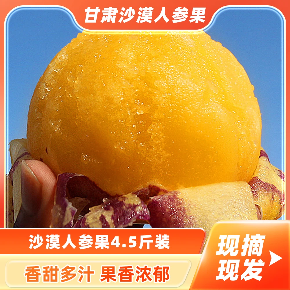甘肃民勤沙漠人参果采摘新鲜成熟当季果园发货皮薄多汁4.5斤包邮