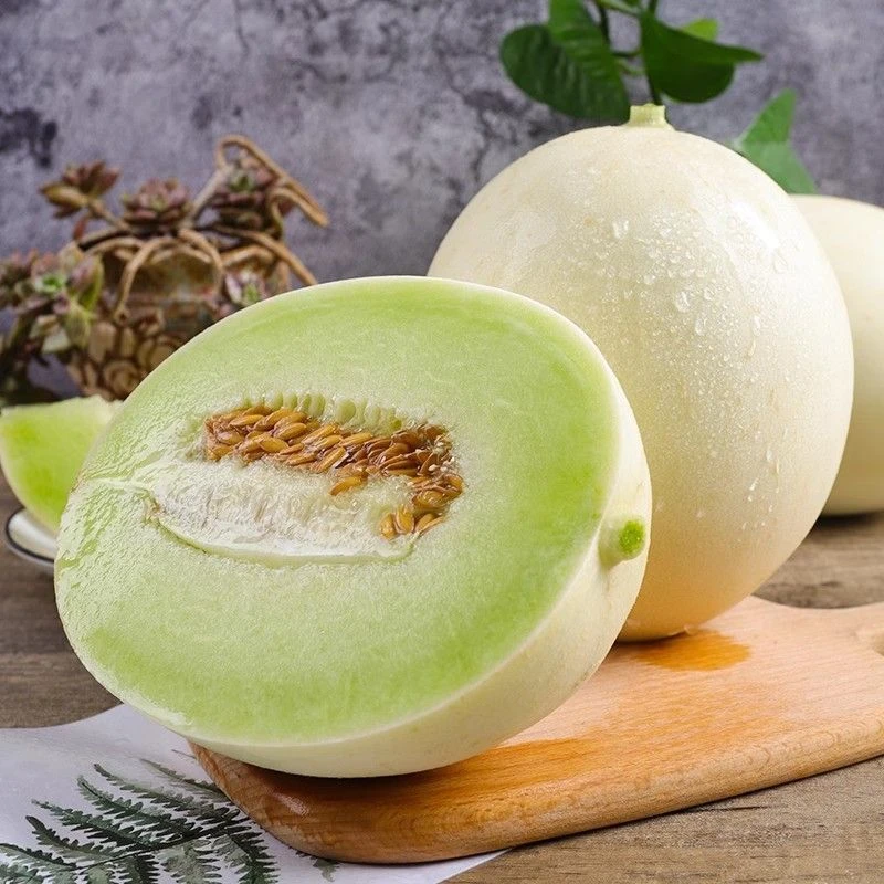 《胖丫》正宗奶香蜜瓜 入口超甜  2粒 净果共5斤