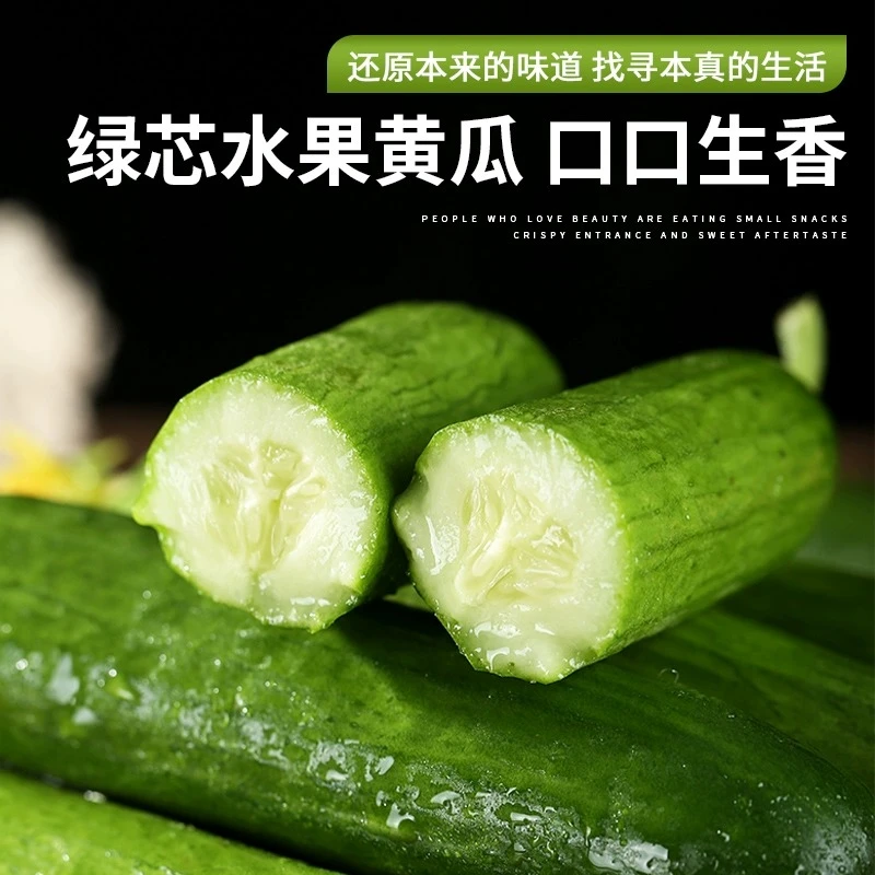 山东潍坊水果黄瓜乳瓜新鲜果蔬净重4.5进包邮产地直发小黄瓜