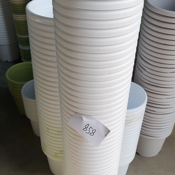 编号858缺口9个无托