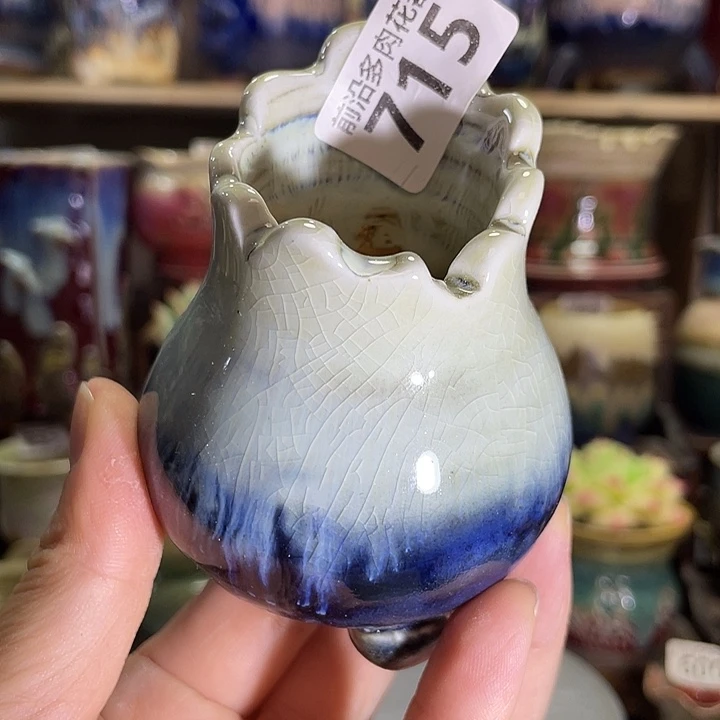 狼盆内口径4高度7