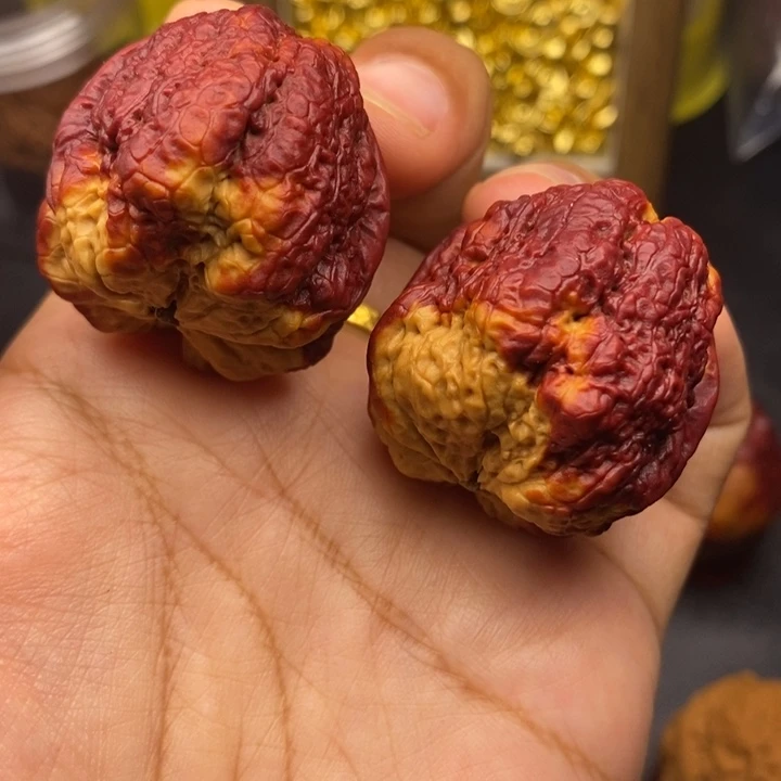 文玩核桃把件40尺蝴蝶蟾