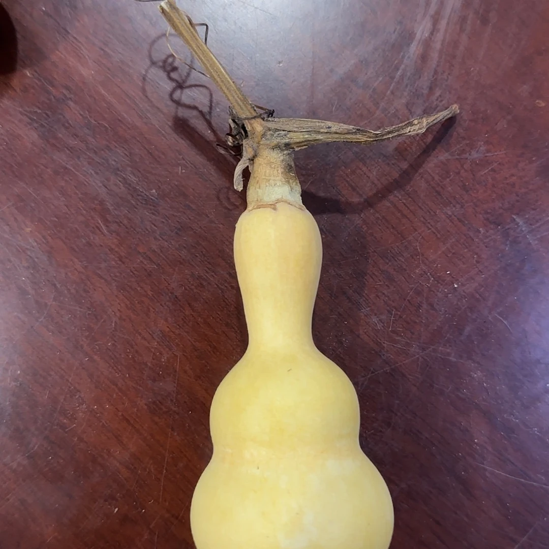 葫芦哥辉煌成就救v回家哈哈