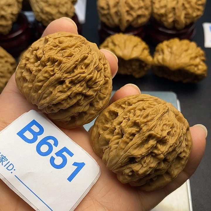 核桃篓子4.4， 00000