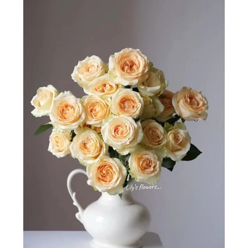 小朱1【香槟】 单头玫瑰   真花 鲜切花  一单中通，两单顺丰发货