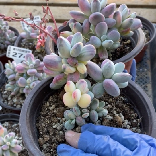 下播福利4一一一一一一一一一