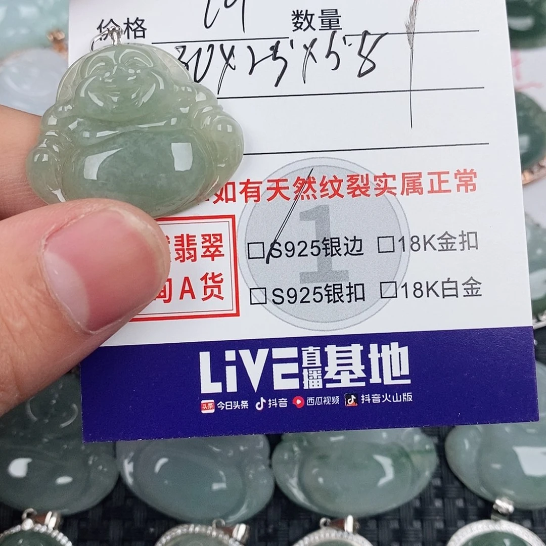 翡翠银S925镶嵌颈饰