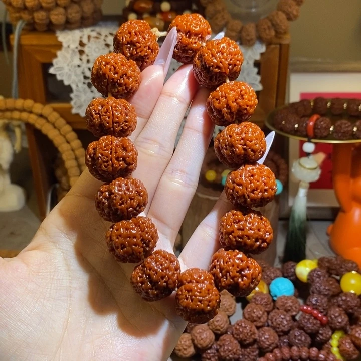 手串金刚菩提235玉华矮桩爆肉高货一物