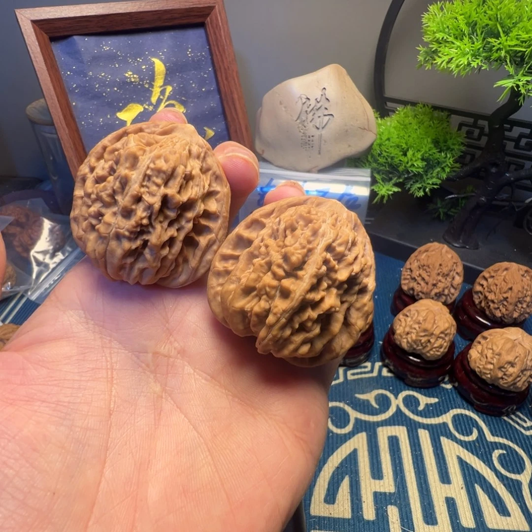 41尺高炮四座楼白茬