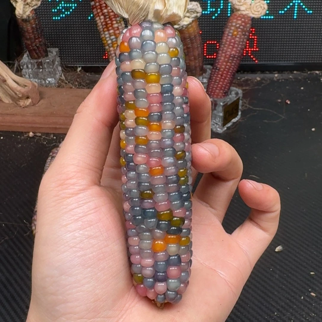 柏香籽/百香籽吊坠龚****