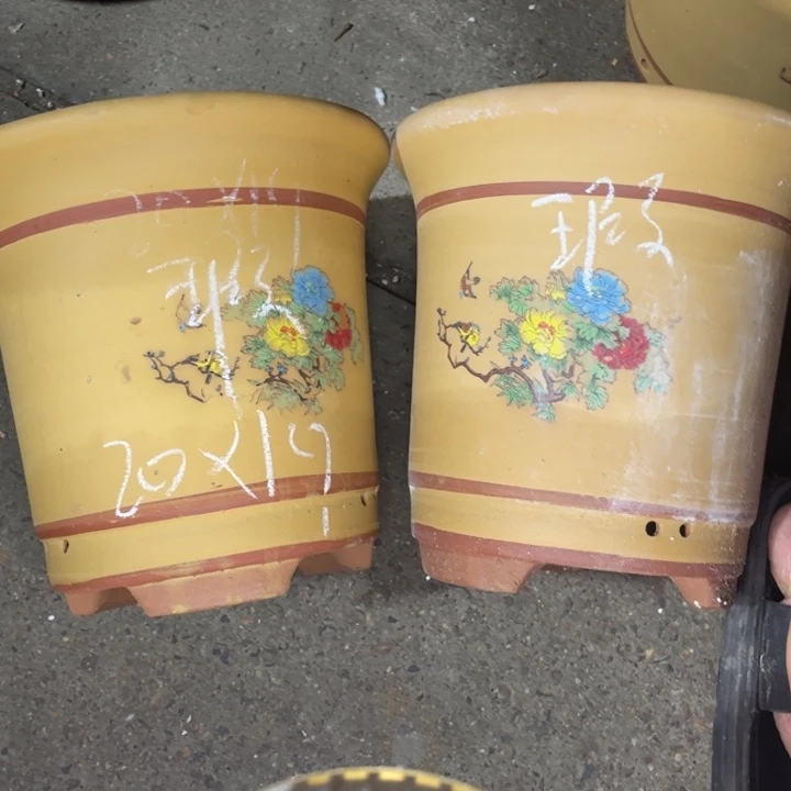 紫砂紫砂紫砂紫砂紫砂