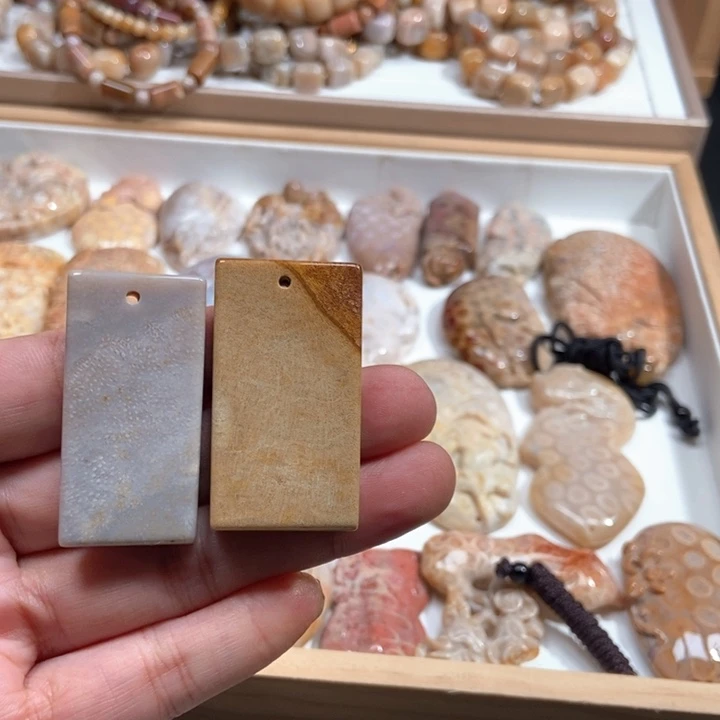 硅化珊瑚（珊瑚玉）未镶嵌颈饰