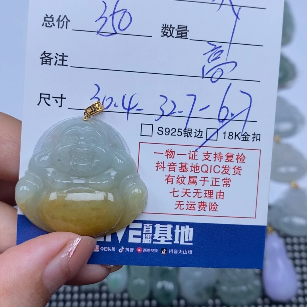 ꧁***꧂翡翠未镶嵌颈饰天然翡翠