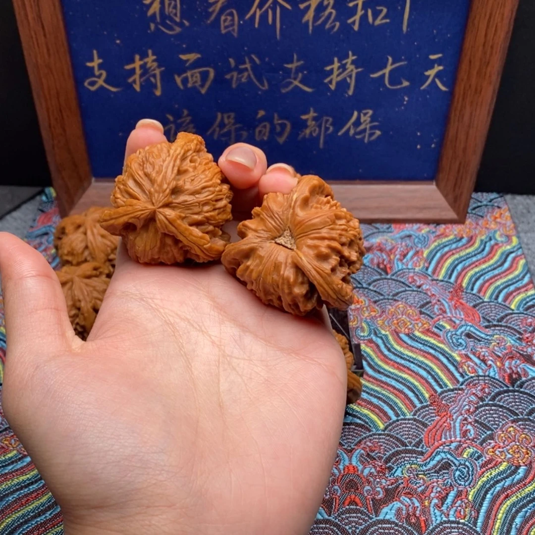 【闪购商品】神**念白狮