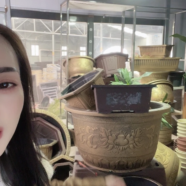 40盆景盆3个60元包邮