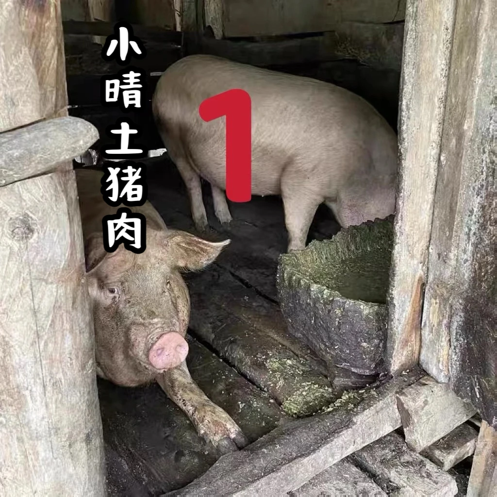 【现称链接】【京东空运包邮】农村熟食土猪