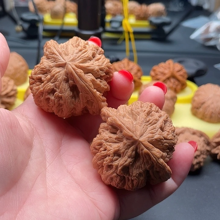 全品无修大粗筋48/46/42