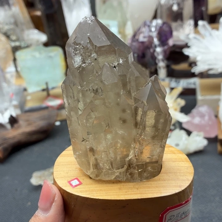 有机玻璃喜马骸骨城堡