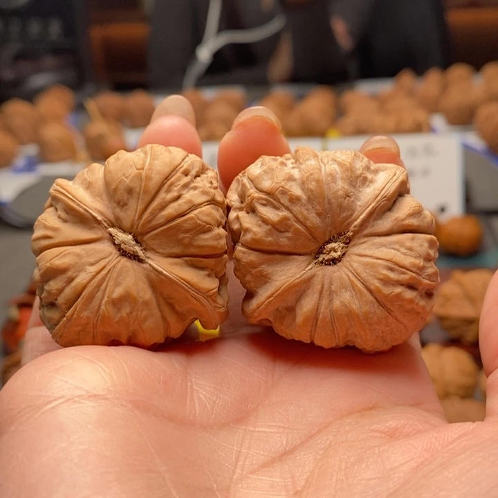 文玩核桃吊坠8号 40尺全品南瓜墩 白茬
