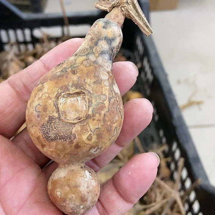 s***鹤g jo k g g j e d