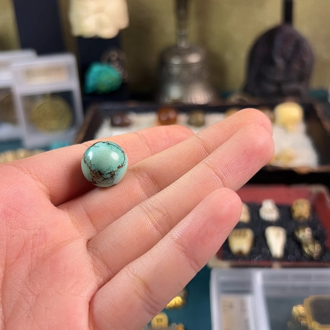 菩提根/象牙果手串正**习