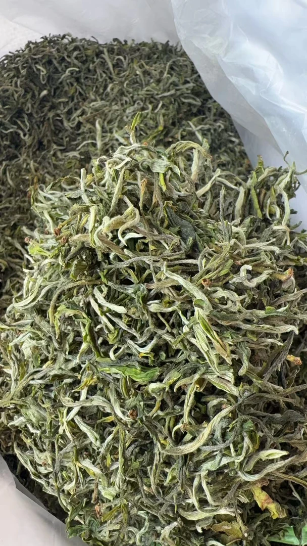 2025年，（明前银丝春尖绿茶）豆香浓郁