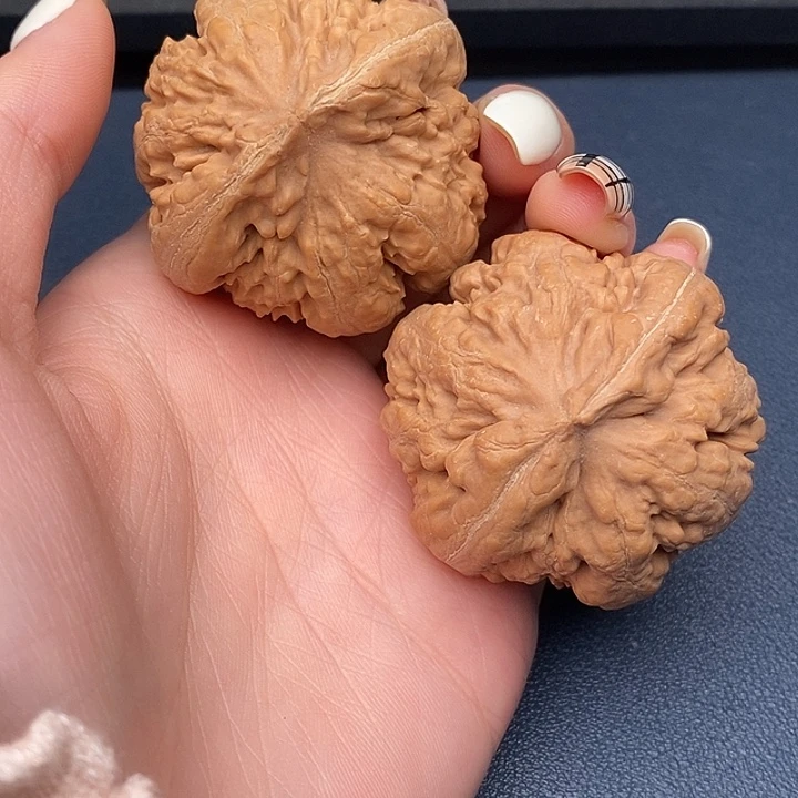 ℳ***霸王龙全品无刀休