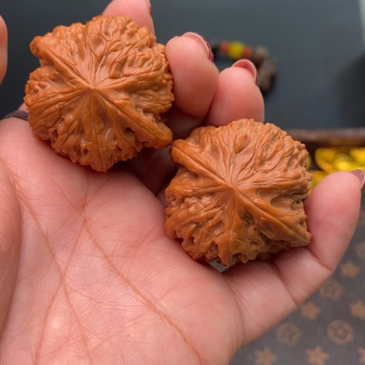 核桃凹底41尺核桃